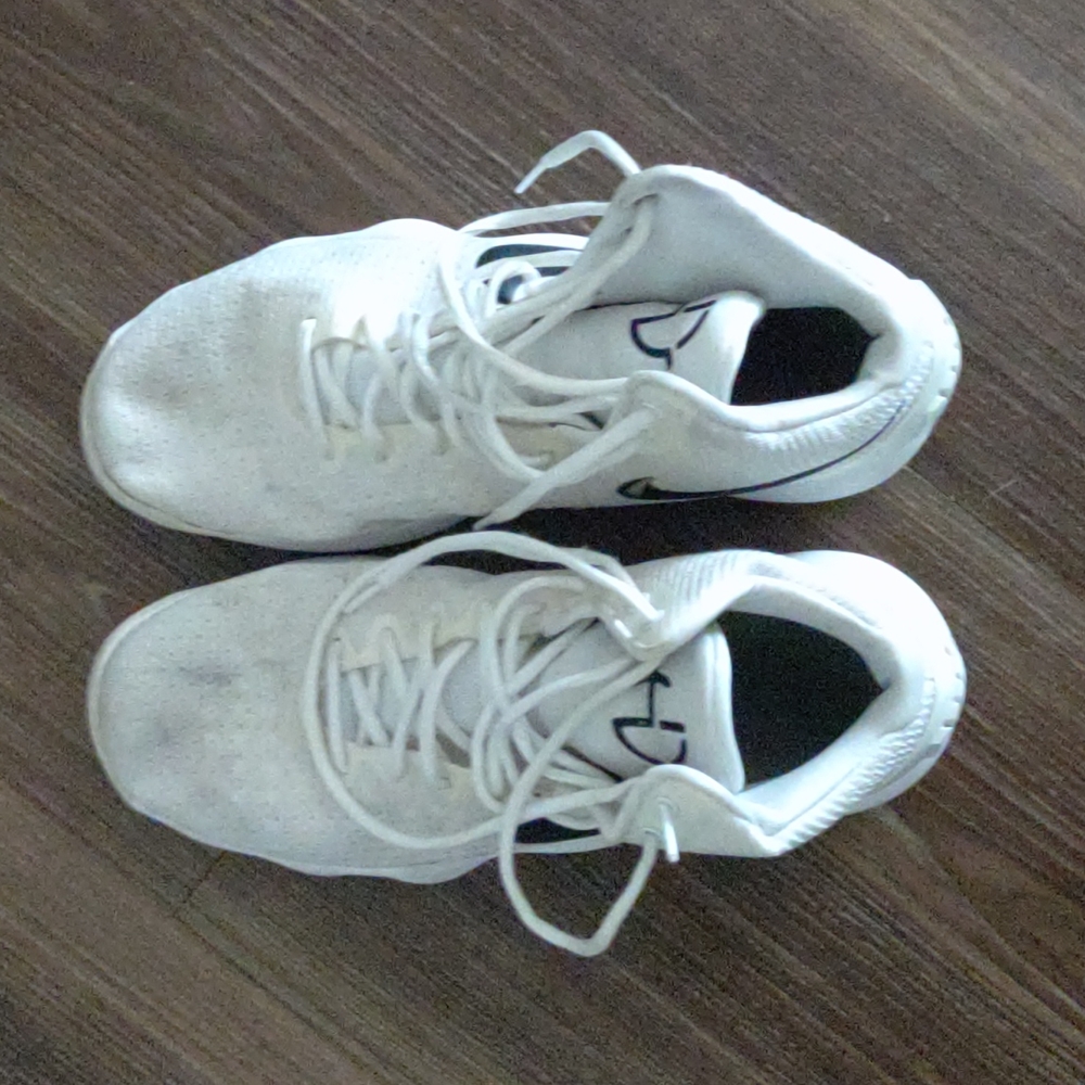 Nike Hyper Dunks 2017 White